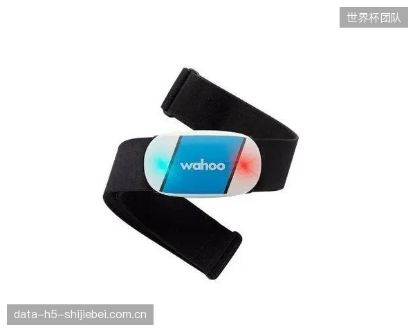 Wahoo生态的闭环优化：其降噪算法如何通过ANT+协议实现心率带与手表数据的无缝对齐
